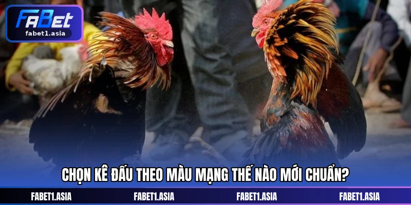 Chọn kê đấu theo màu mạng thế nào mới chuẩn?