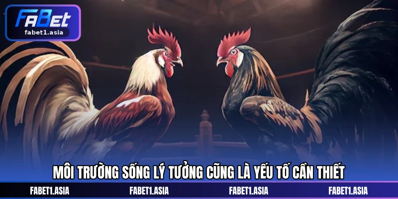 Môi trường sống lý tưởng cũng là yếu tố cần thiết