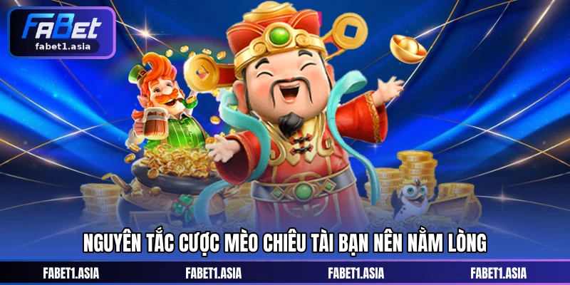 Nguyên tắc cược Mèo Chiêu Tài bạn nên nằm lòng