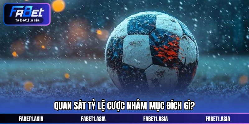 Quan sát tỷ lệ cược nhằm mục đích gì?