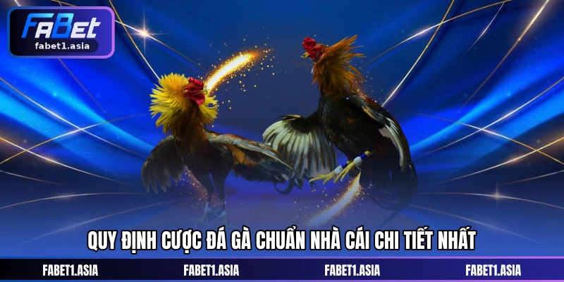 Quy định cược đá gà chuẩn nhà cái chi tiết nhất