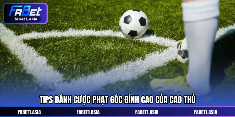 Tips đánh cược phạt góc đỉnh cao của cao thủ