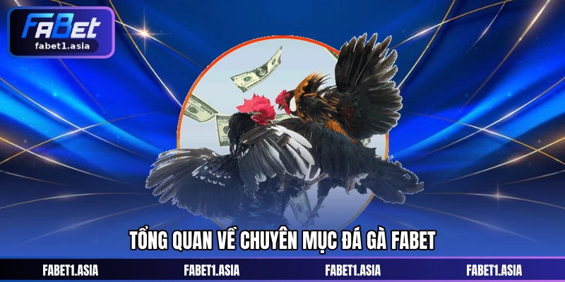 Tổng quan về chuyên mục Đá gà FABET