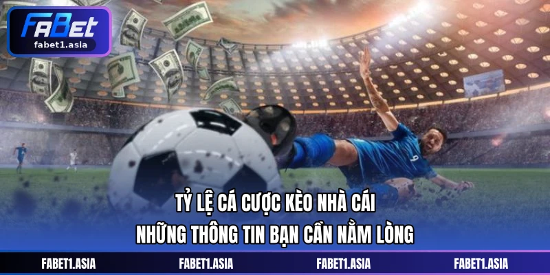 Tỷ Lệ Cá Cược Kèo Nhà Cái - Những Thông Tin Bạn Cần Nằm Lòng
